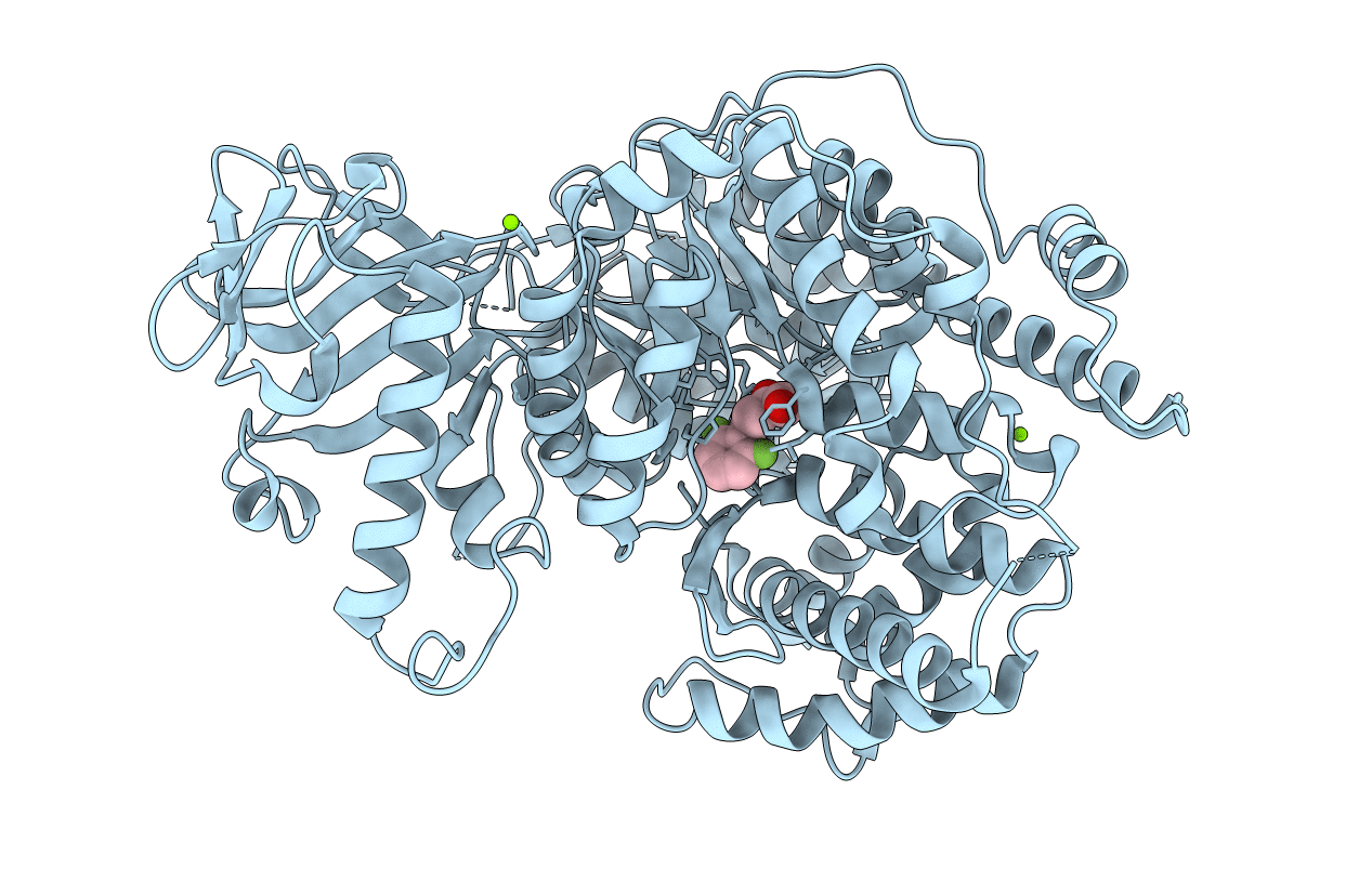 6DKO image