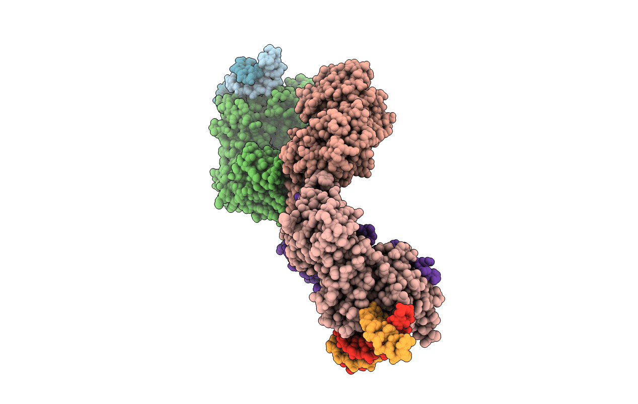 6DKS image