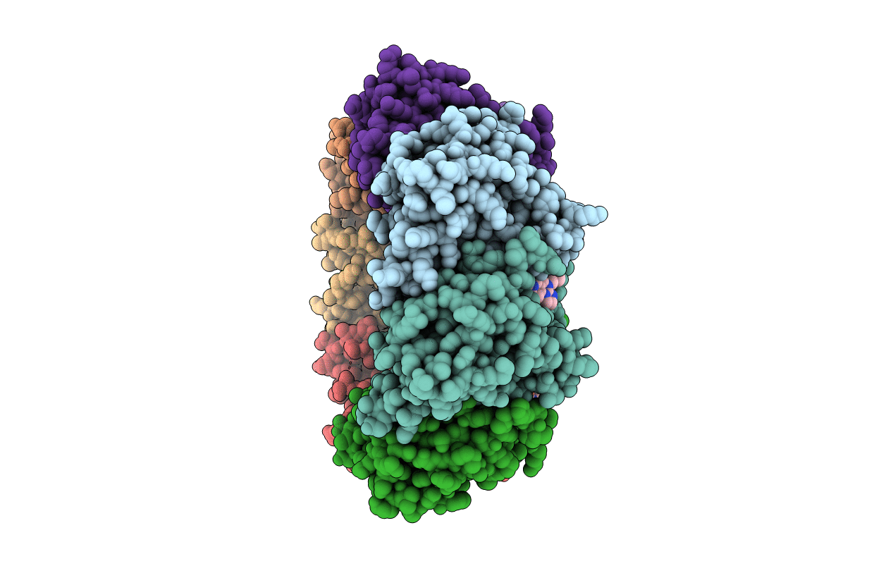 6DL7 image