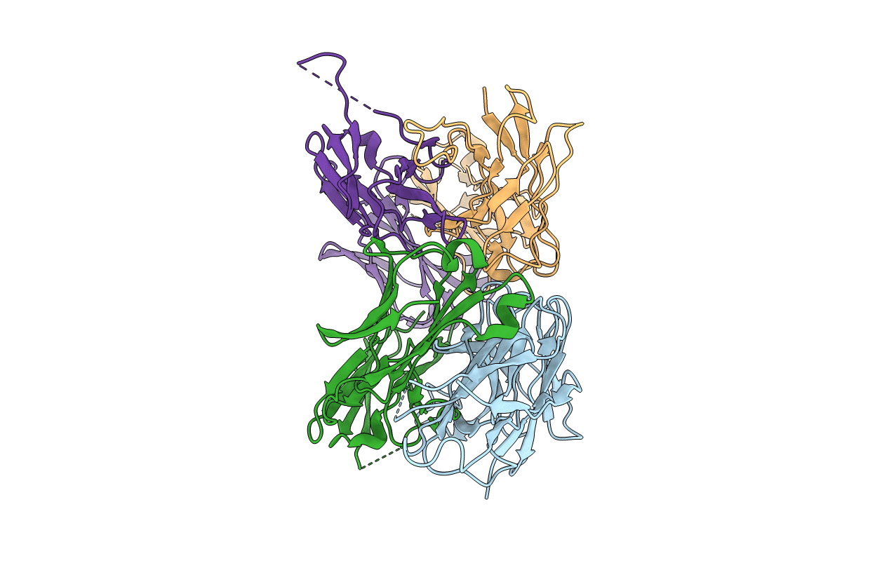 6DL8 image