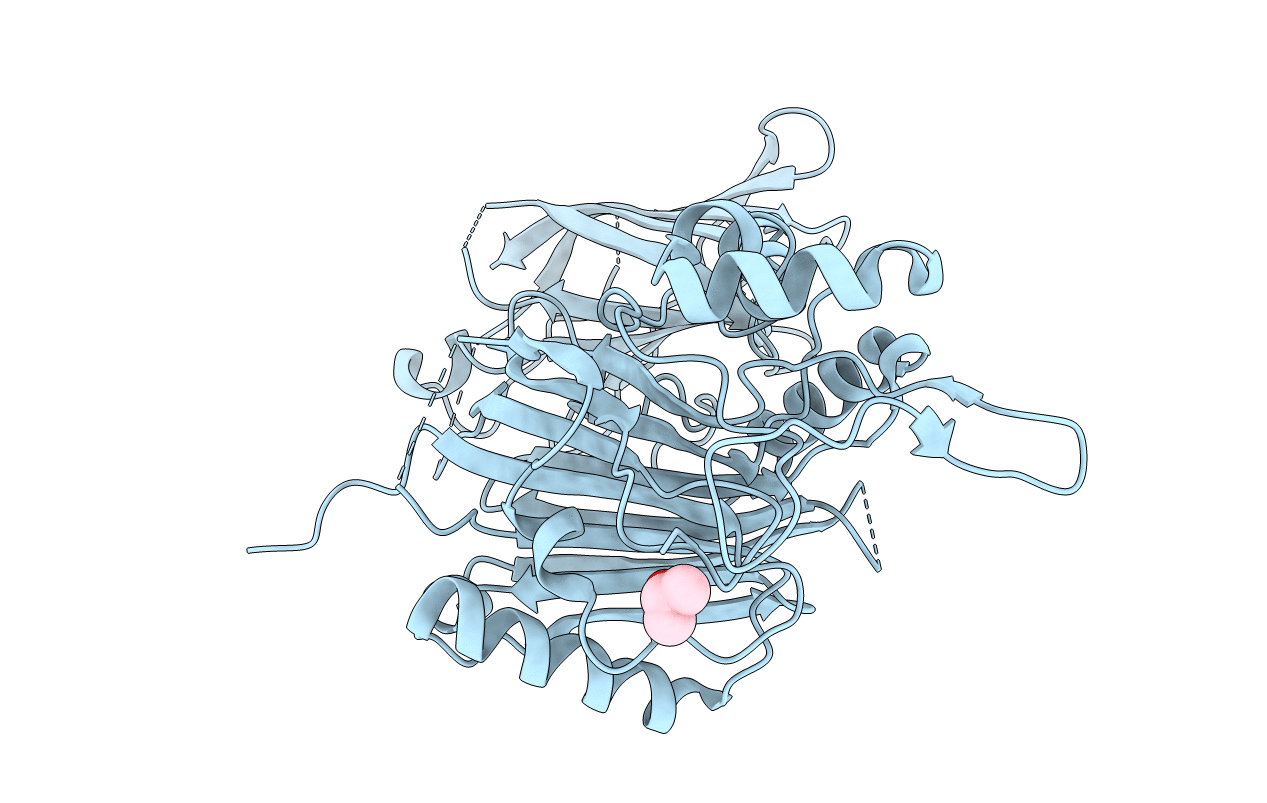 6DLG image