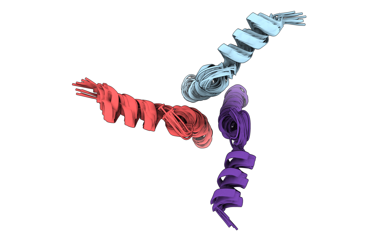 6DLN image