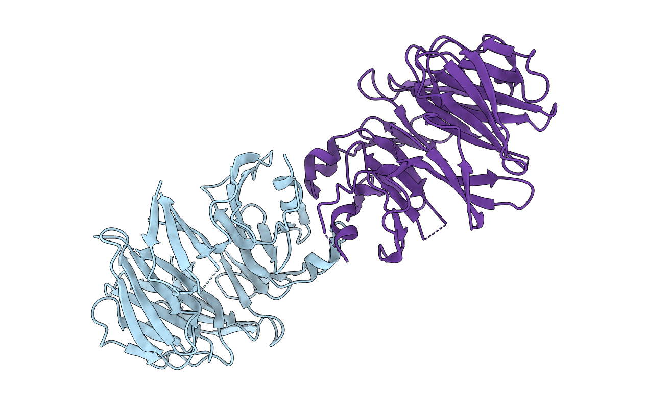 6DLO image