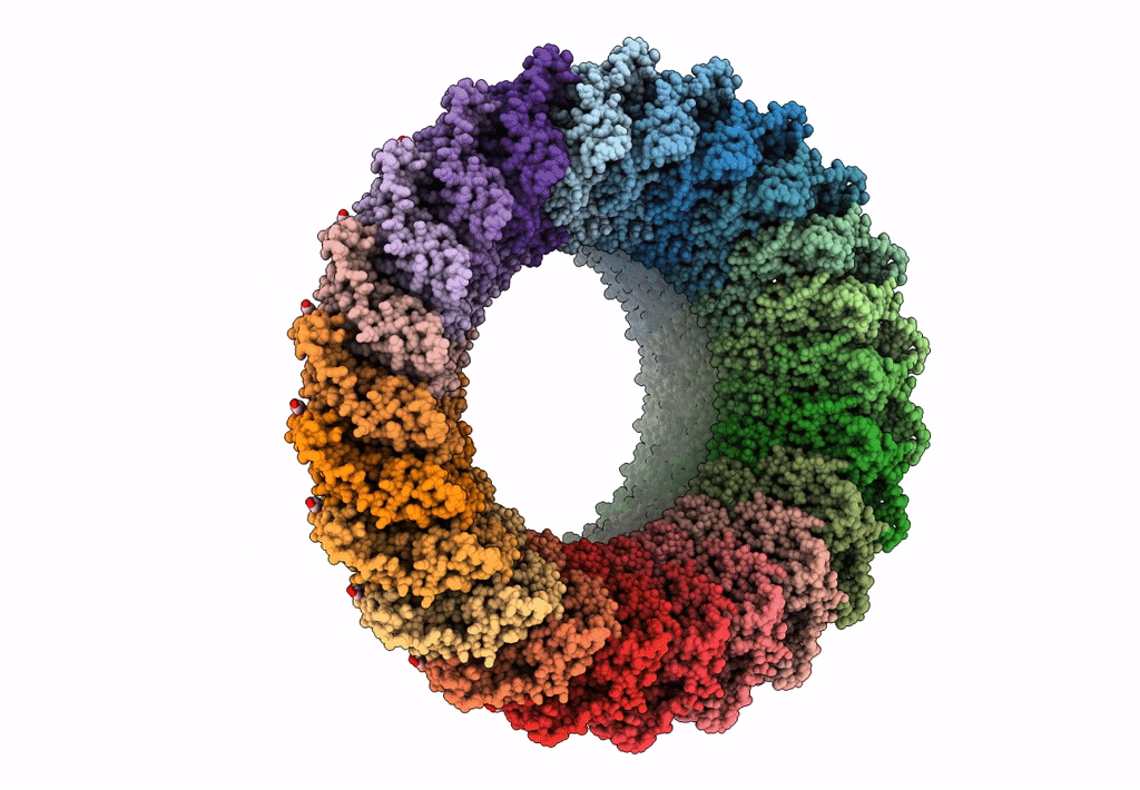 6DLW image