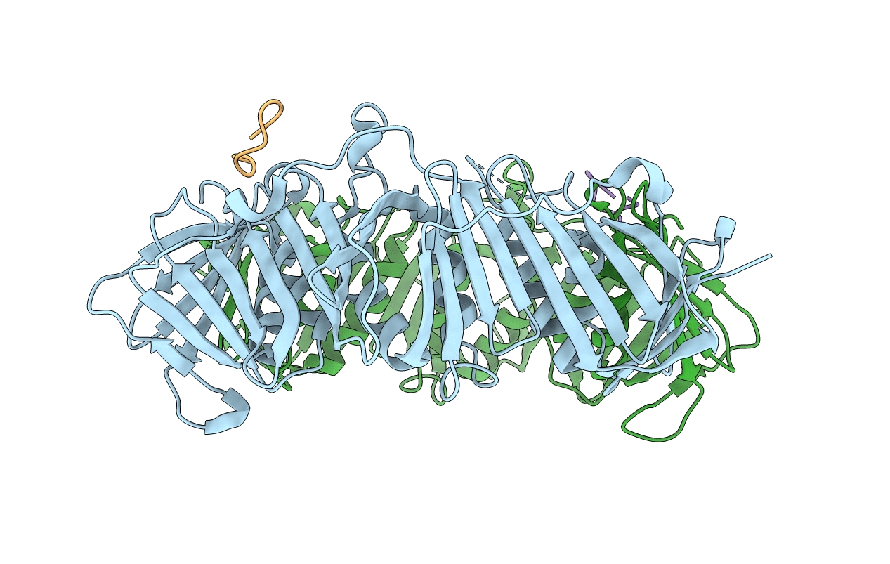 6DM6 image