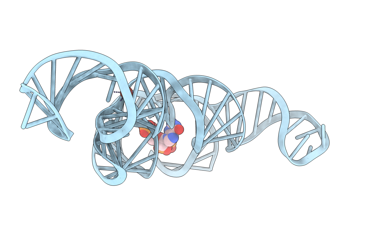 6DME image