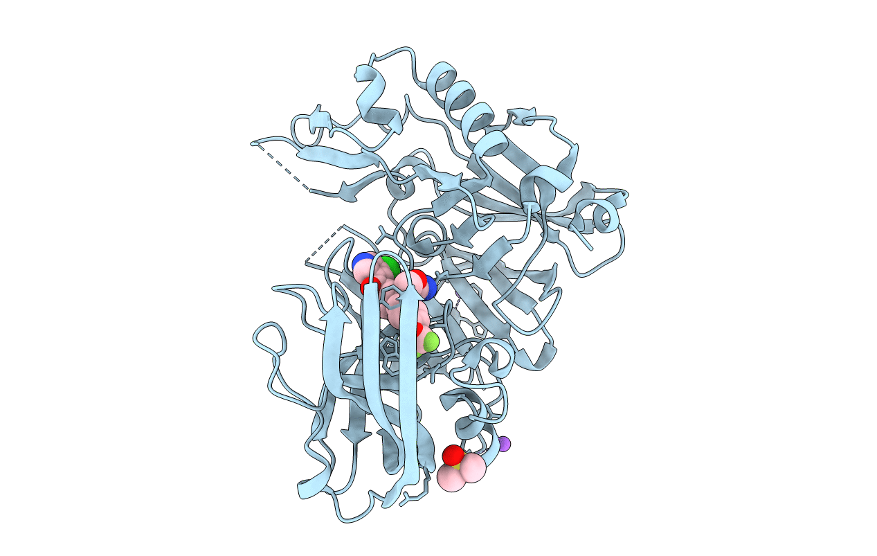 6DMI image