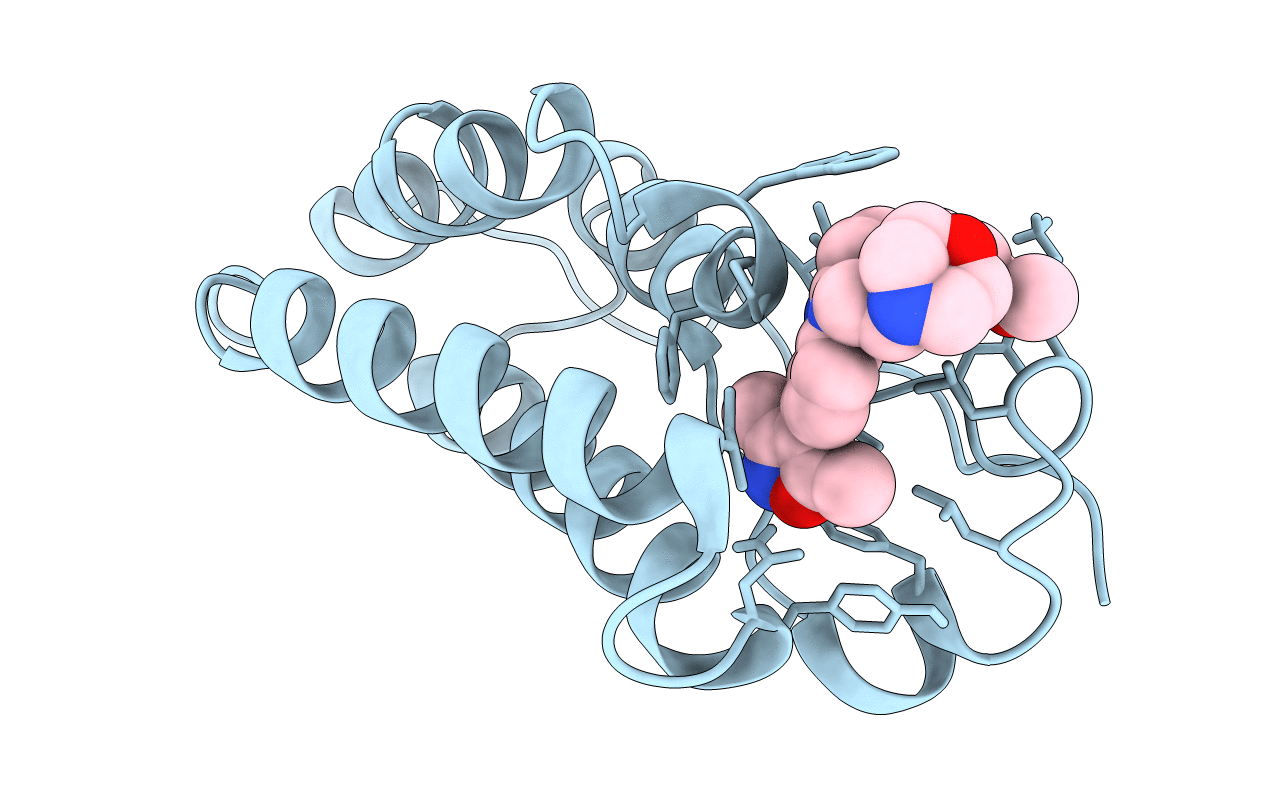 6DMJ image
