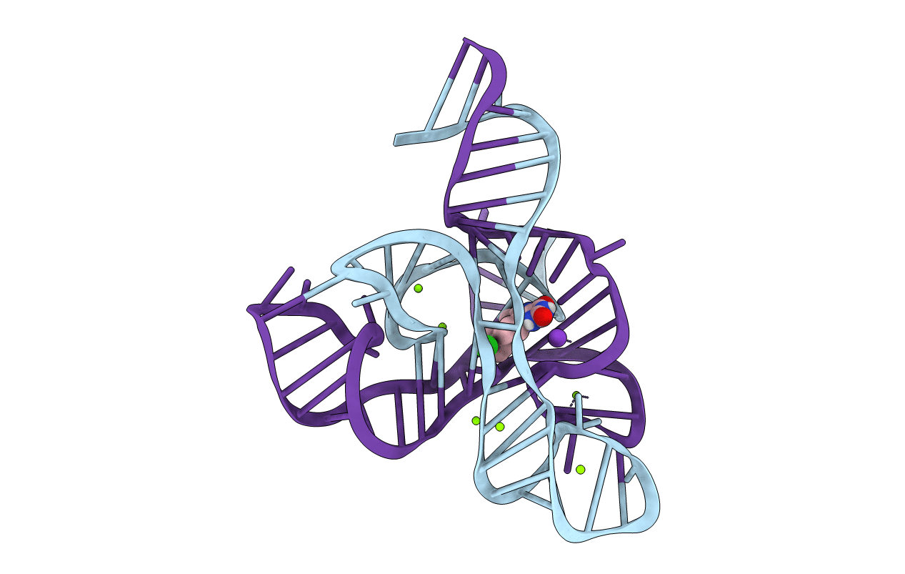 6DN3 image
