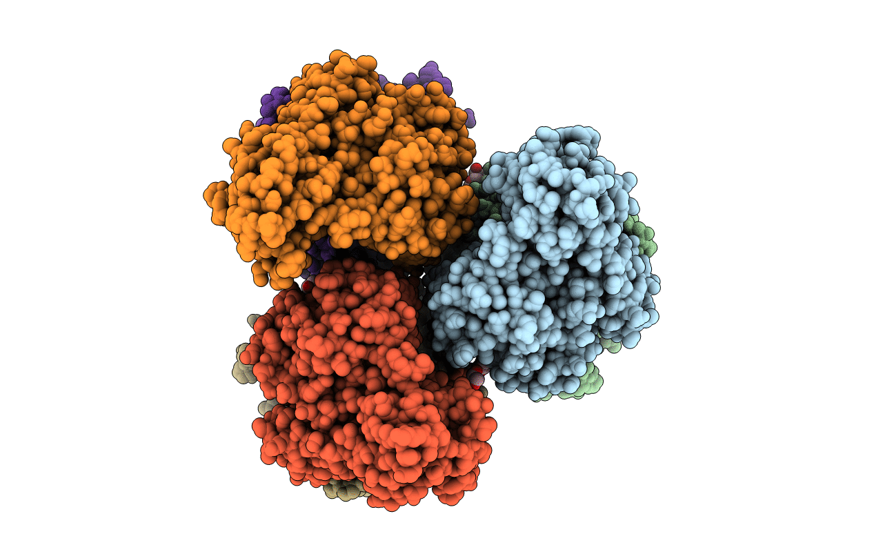 6DNA image