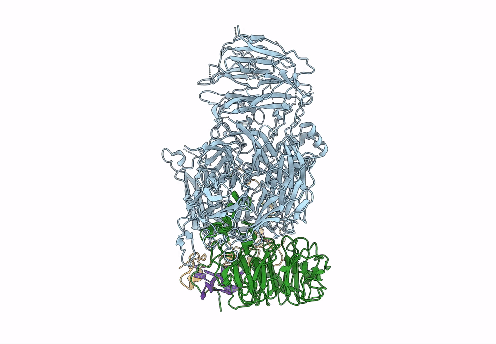 6DNH image