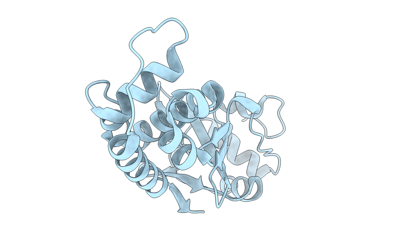 6DNM image