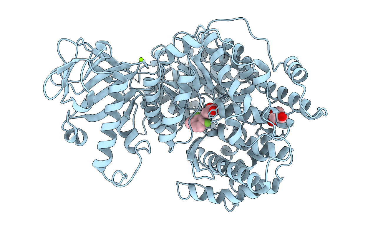 6DNP image