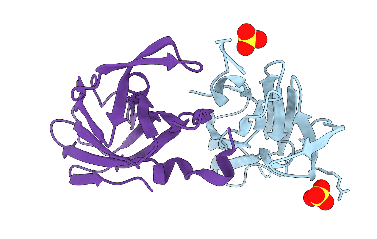 6DNV image