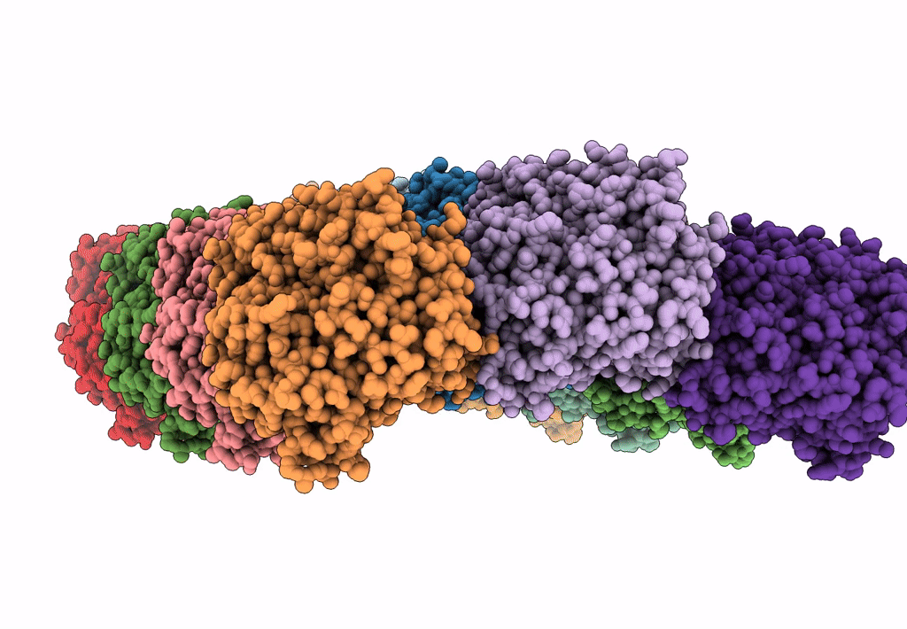 6DPU image