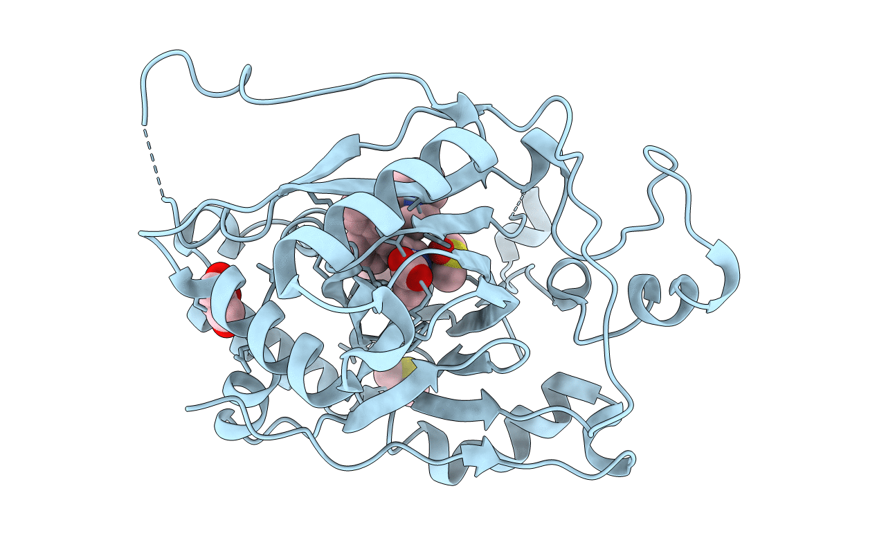 6DQD image