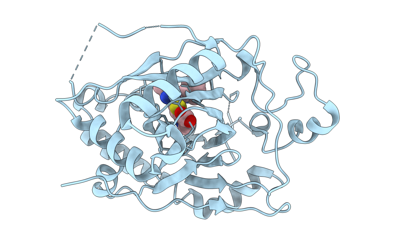 6DQF image