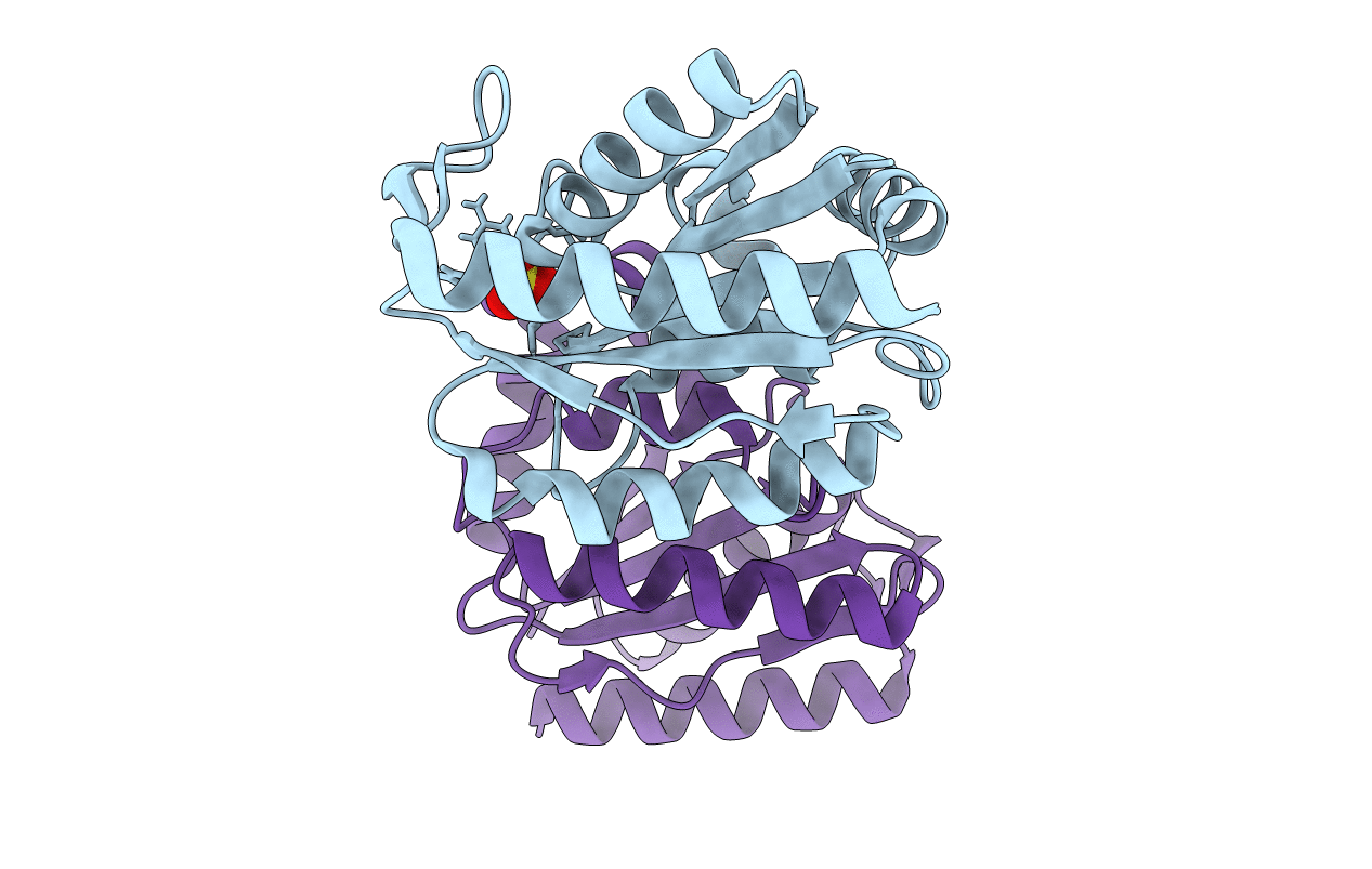 6DQI image