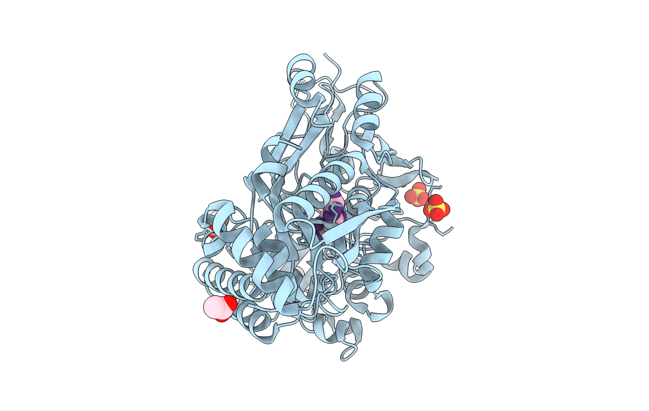 6DQT image