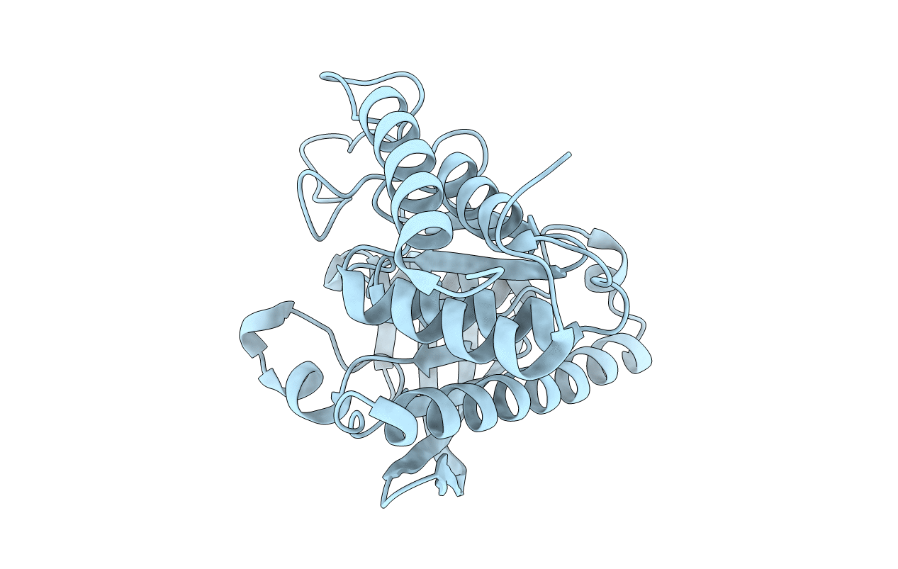 6DR1 image