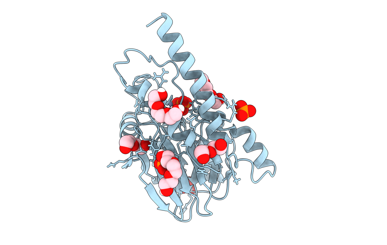 6DR8 image