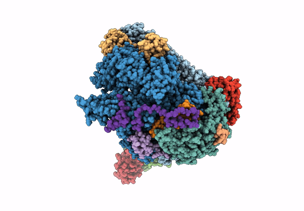 6DRD image