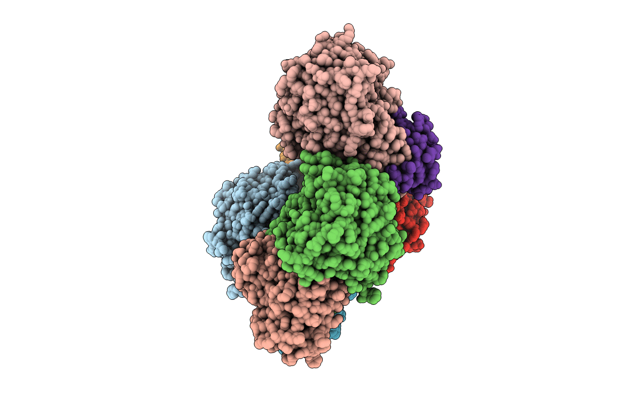 6DRH image