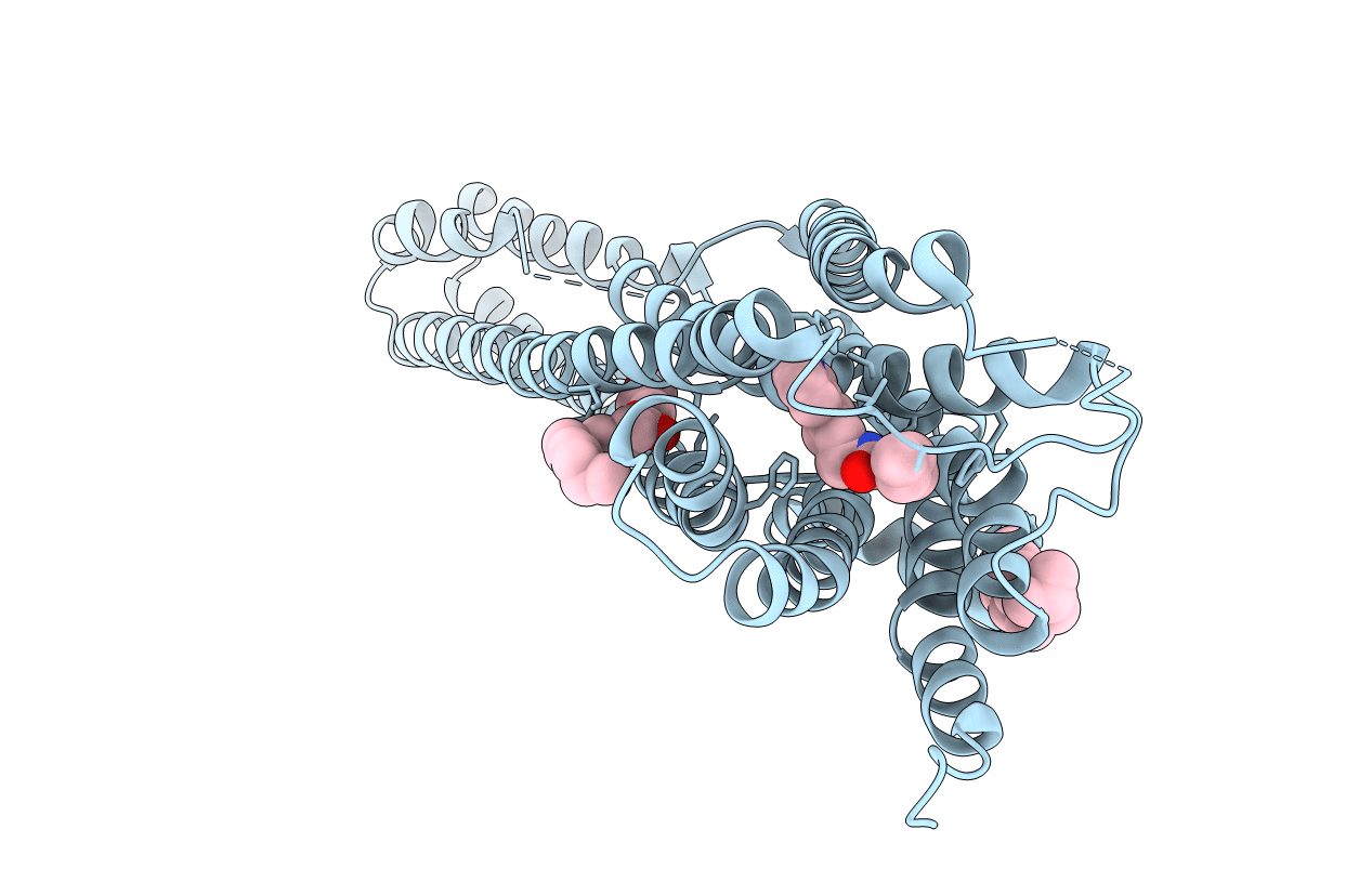 6DRX image