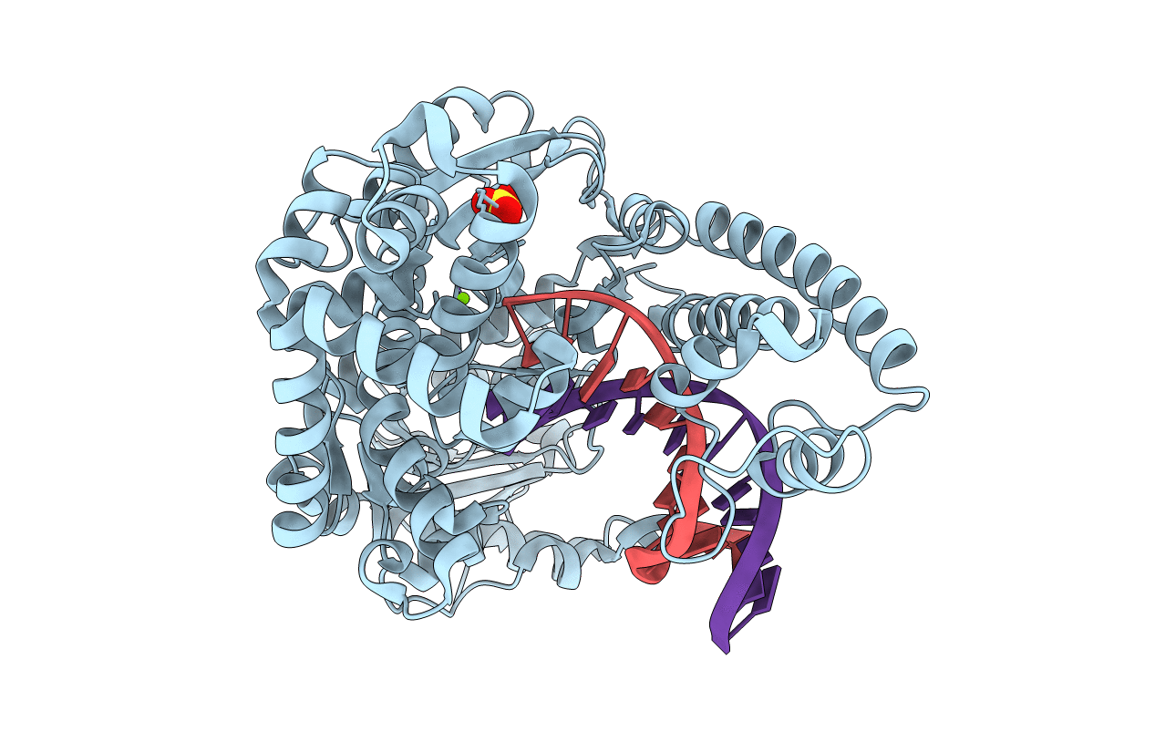 6DSV image