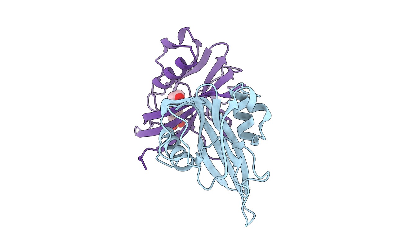 6DT3 image