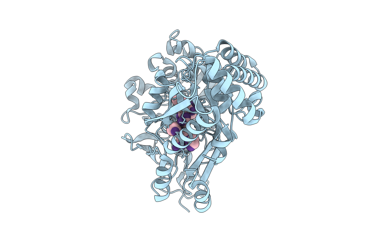 6DTG image