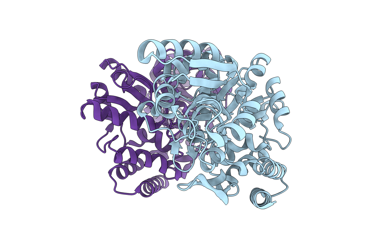 6DTT image