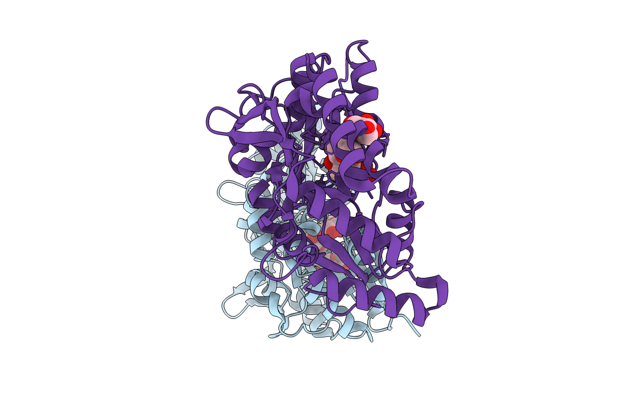 6DTU image