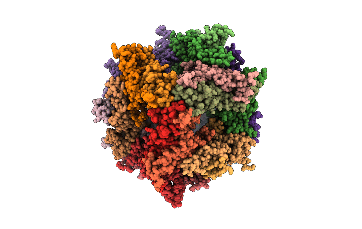 6DV5 image