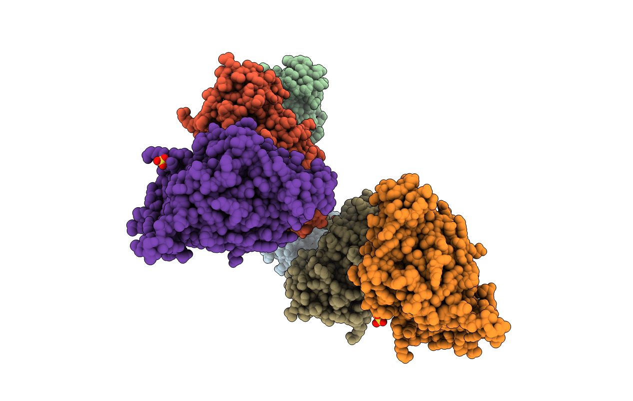 6DVH image