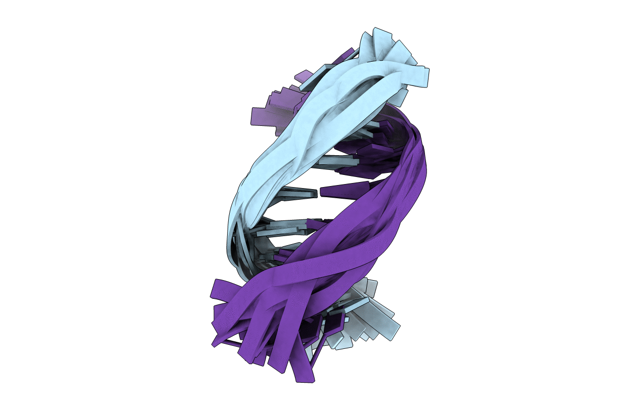 6DVT image
