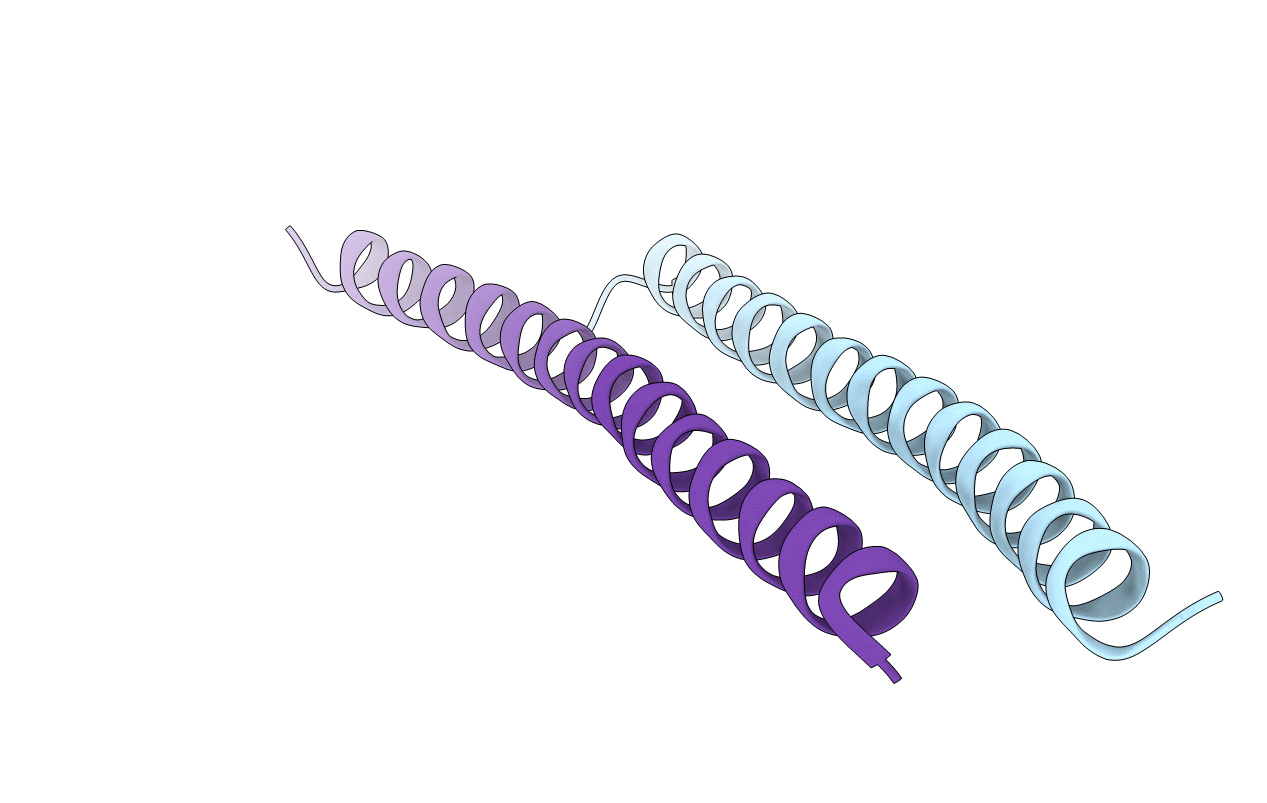 6DVU image