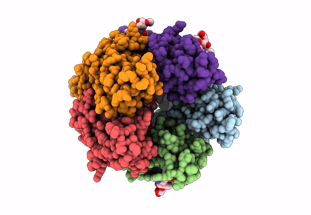 6DW1 image