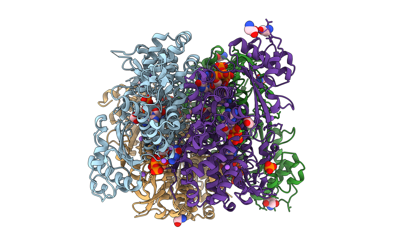 6DWK image