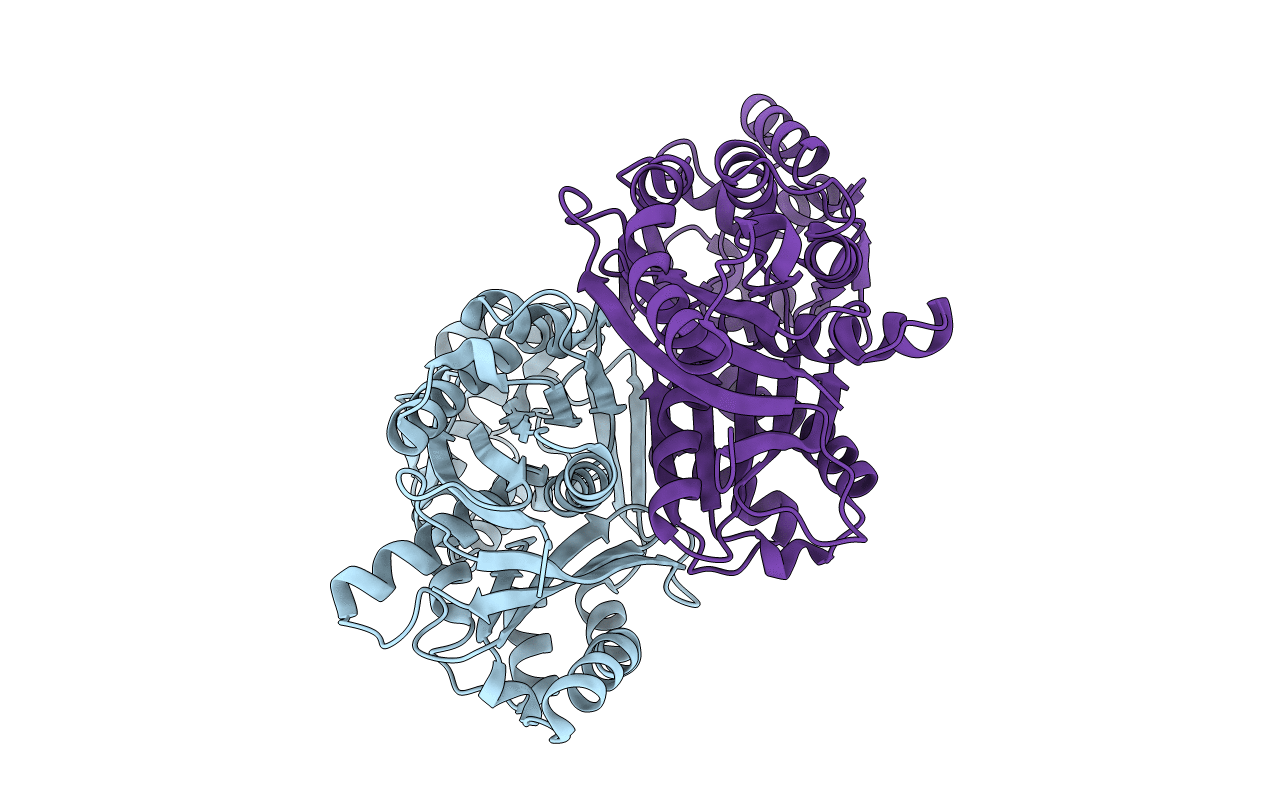 6DX8 image