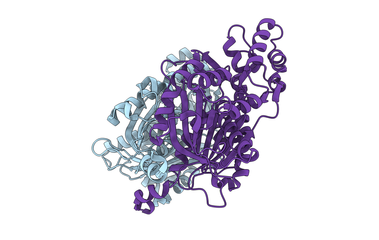 6DXA image