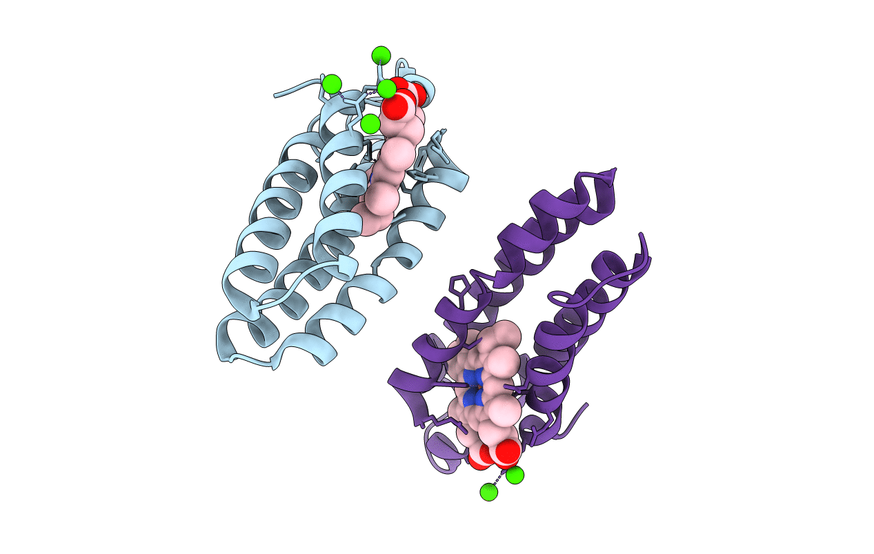 6DYB image