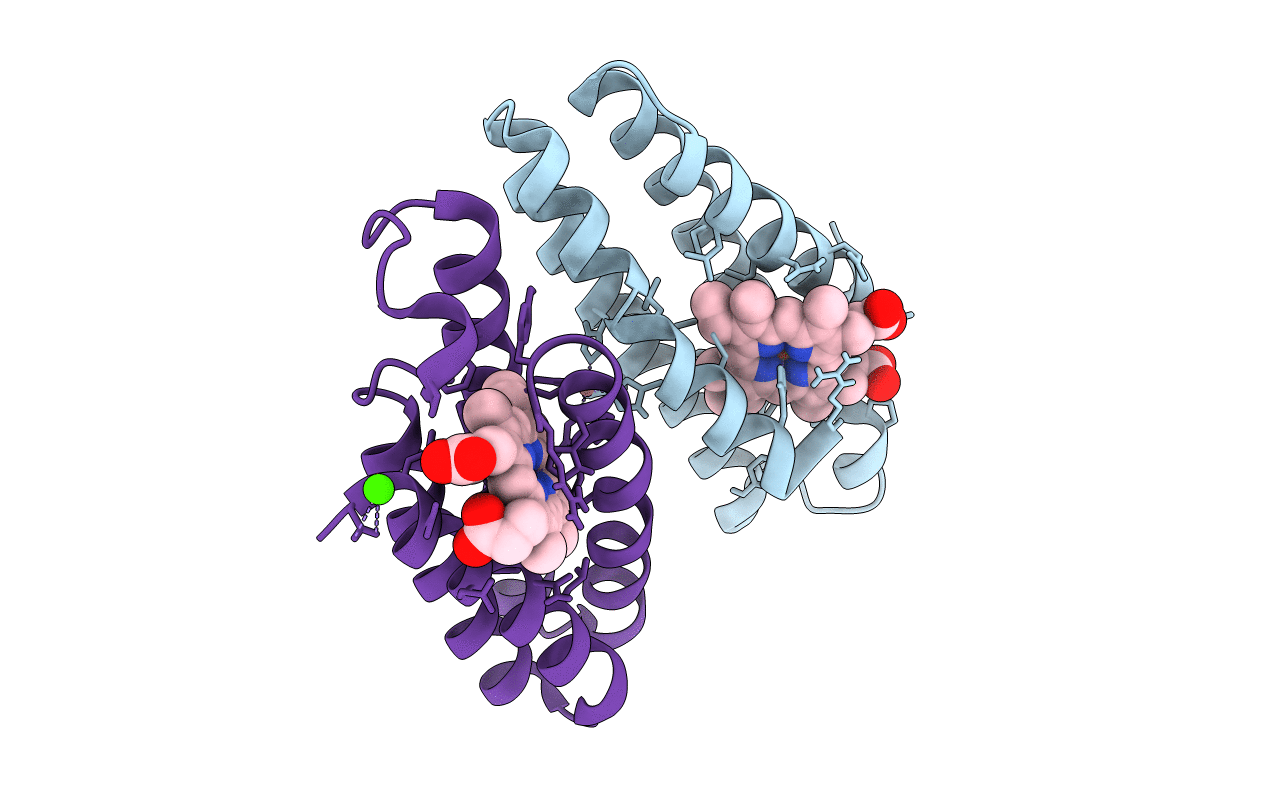 6DYC image