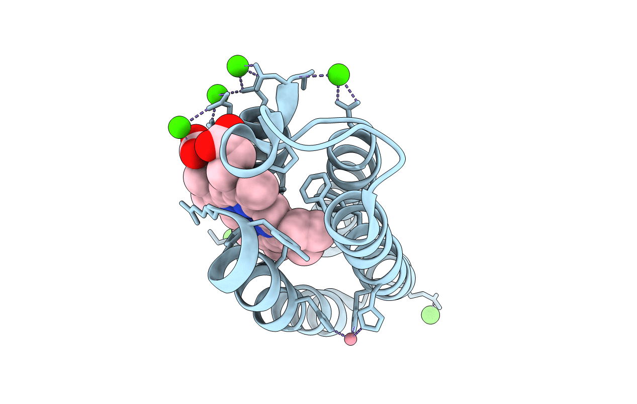 6DYI image