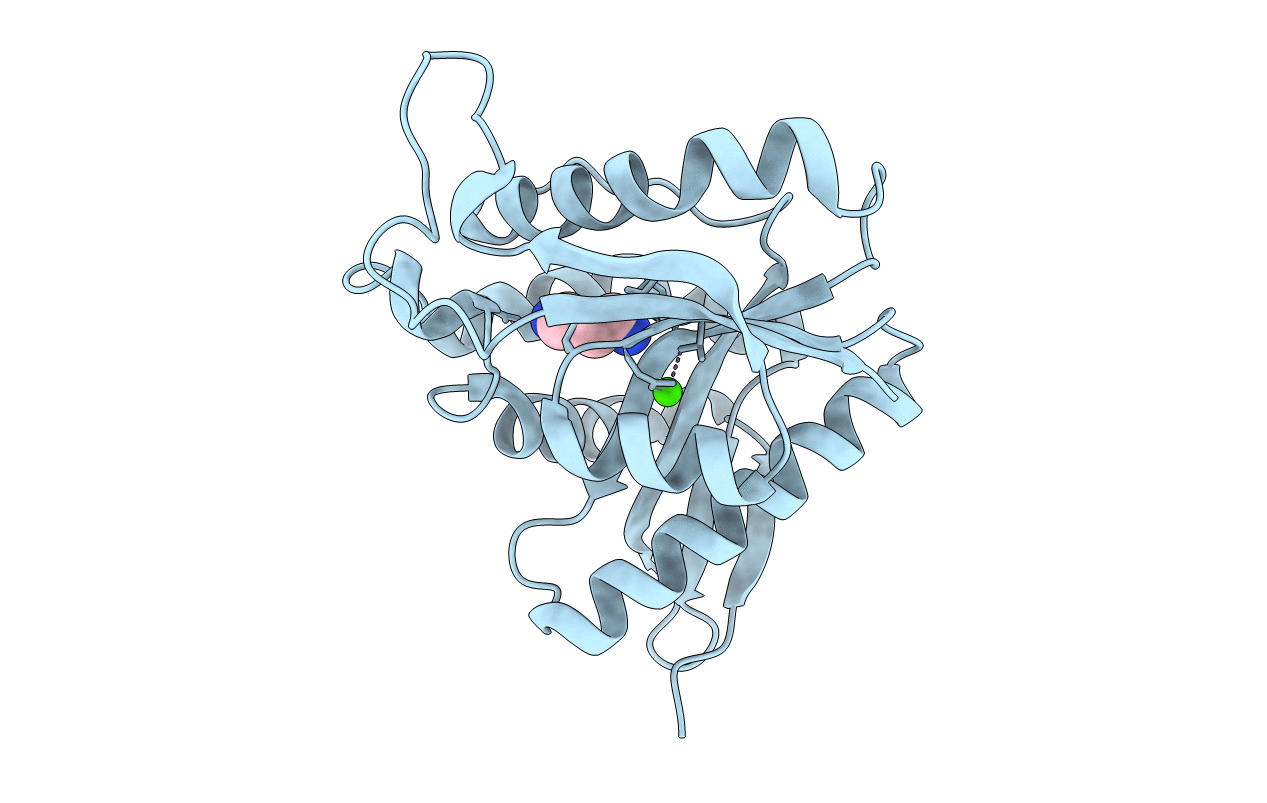 6DYN image