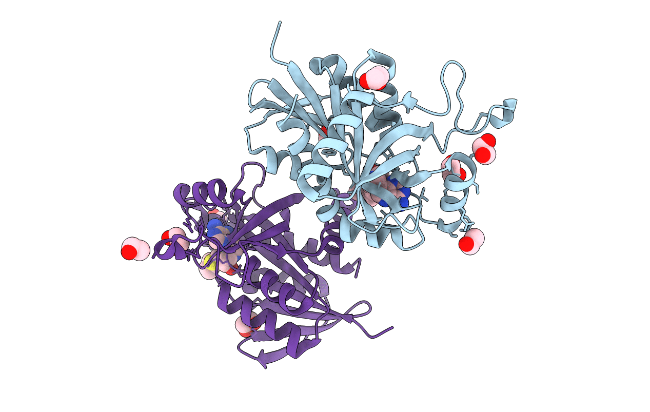 6DYV image