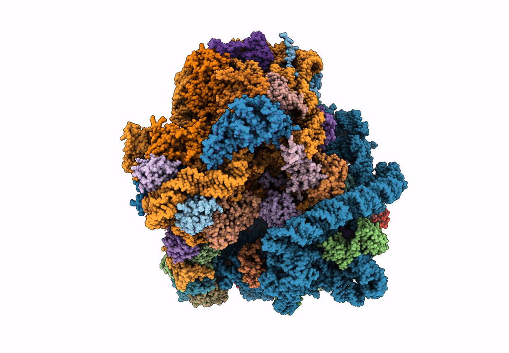 6DZI image