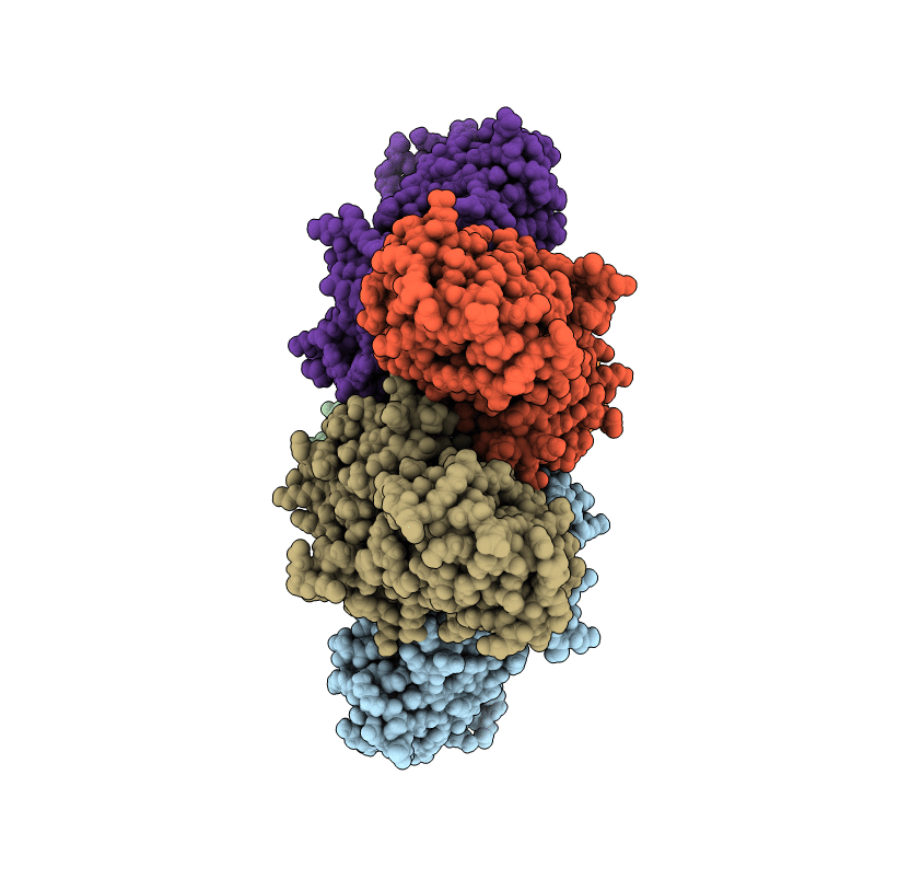 6DZX image
