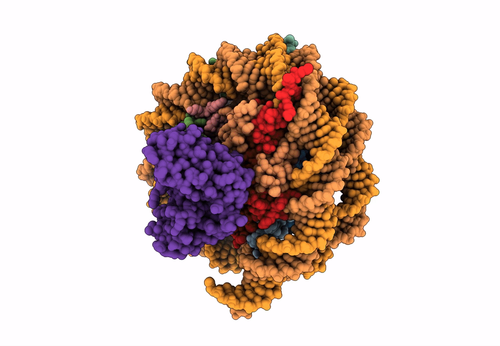 6E0C image