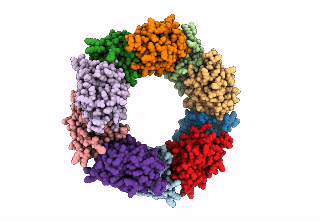 6E0G image